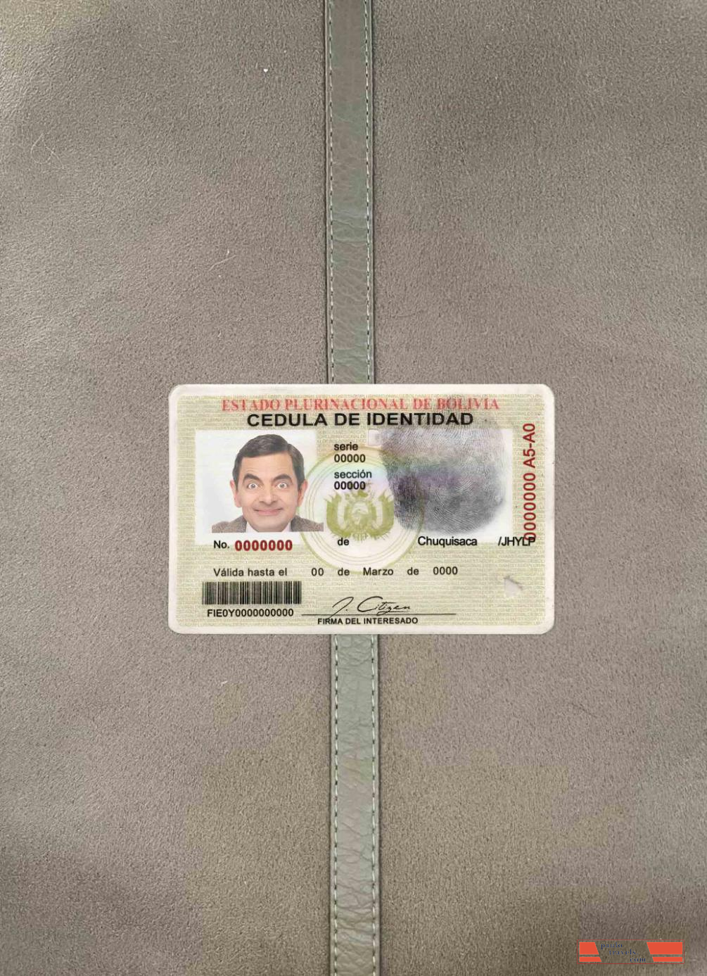 Bolivia ID photolook FRONT PSD template